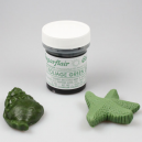  Concentrate Paste Colour FOLIAGE GREEN 42g